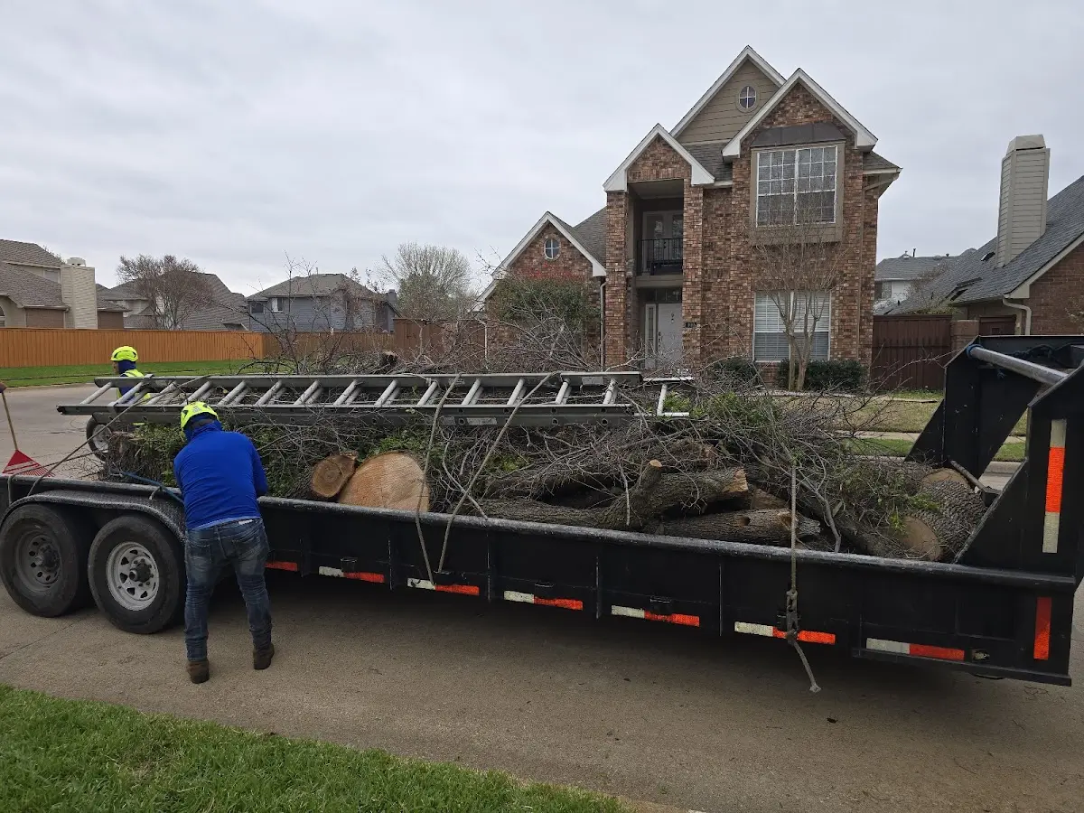 Expert Tree Pest Control with proper safety equipment in Shannock